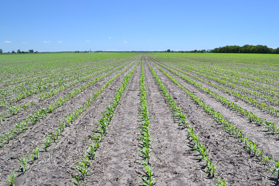 MAJOR ILLINOIS LAND AUCTION - 752.54+/- ACRES OFFERED IN 9 TRACTS IN KANKAKEE COUNTY, ILLINOIS
